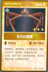 潜水员戴夫如何获取甘氏巨螯蟹