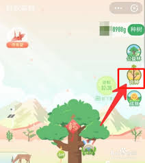 支付宝种树约定在哪参加