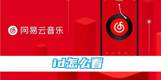 如何在网易云音乐查看账号