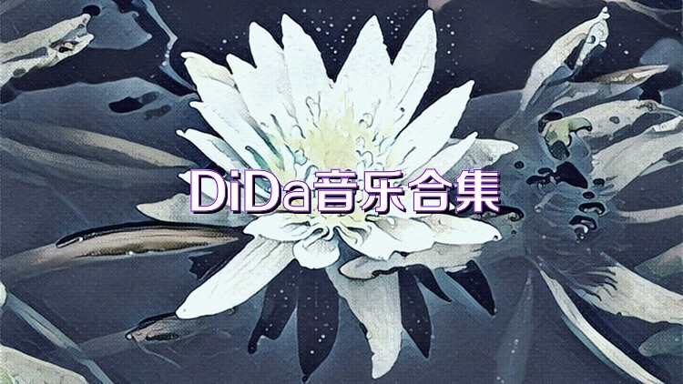 DiDa音乐合集