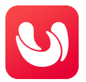 优POS Pro