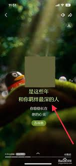 在哪看qq和你羁绊最深的人