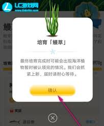 支付宝神奇海洋4月19日答案是什么