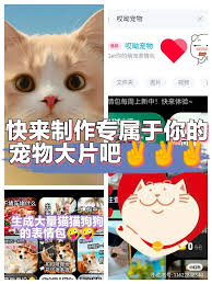 百度网盘萌宠表情包怎么用