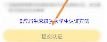 应届生求职app如何认证大学生