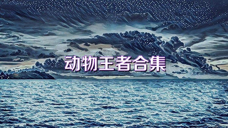 动物王者合集