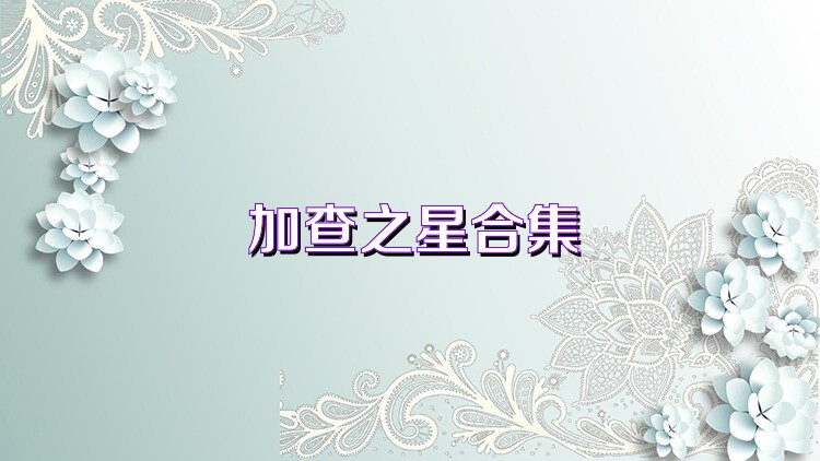 加查之星合集