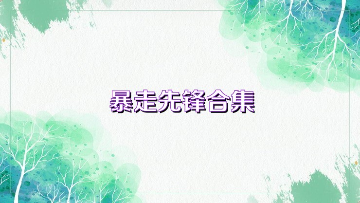 暴走先锋合集