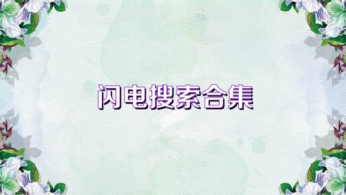闪电搜索合集