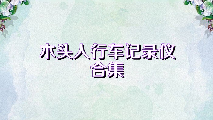 木头人行车记录仪合集