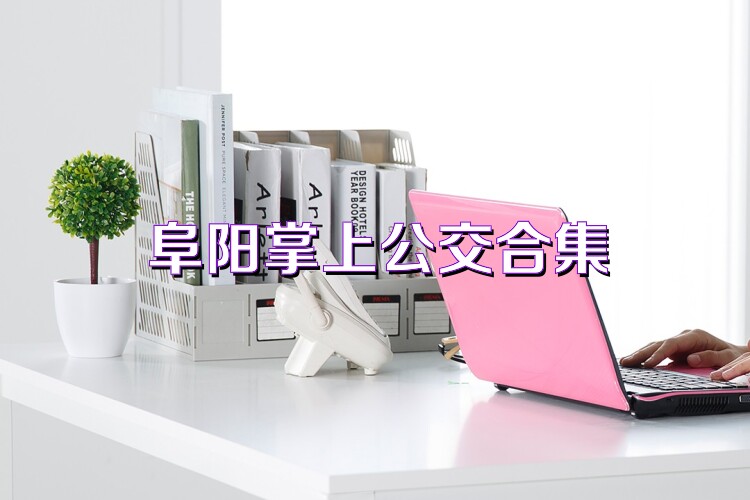 阜阳掌上公交合集