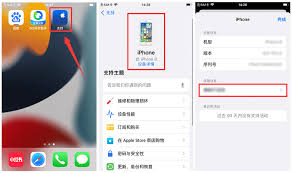 如何查询iphone激活时间