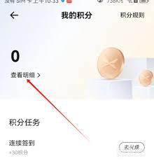 小鹏汽车app如何查询明细