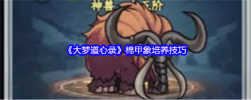 大梦道心录棉甲象如何培养