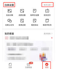 京东白条如何使用