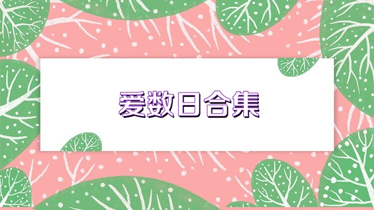 爱数日合集