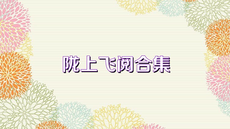 陇上飞阅合集