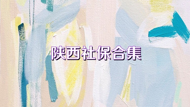 陕西社保合集