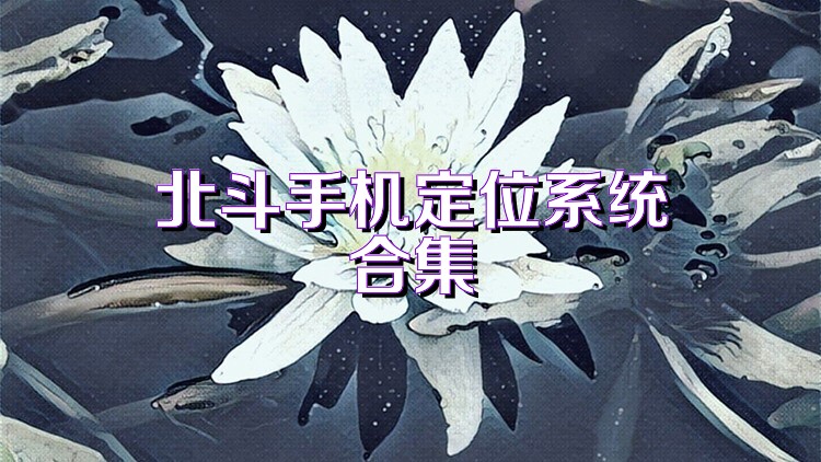 北斗手机定位系统合集