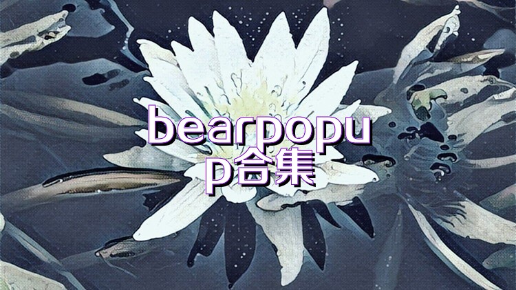 bearpopup合集
