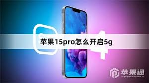 苹果15pro怎样打开5g网络