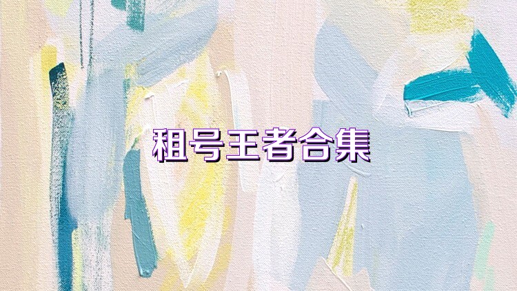 租号王者合集