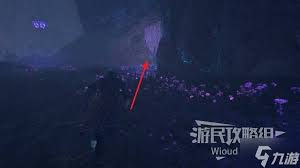 光与影33号远征队如何稳定抢到先手