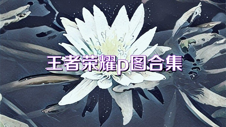 王者荣耀p图合集