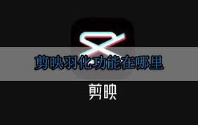 剪映羽化功能在何处