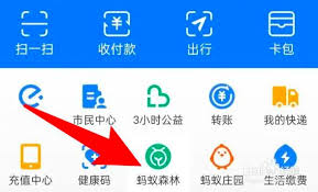蚂蚁森林怎么查看过期能量