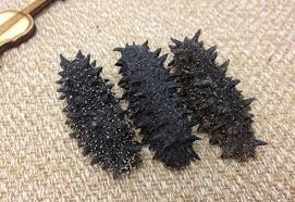 刺参是有刺的海参吗