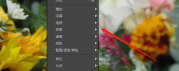 potplayer如何开启均衡器