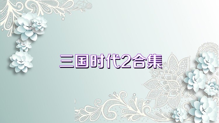 三国时代2合集