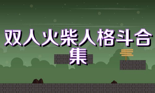 双人火柴人格斗合集