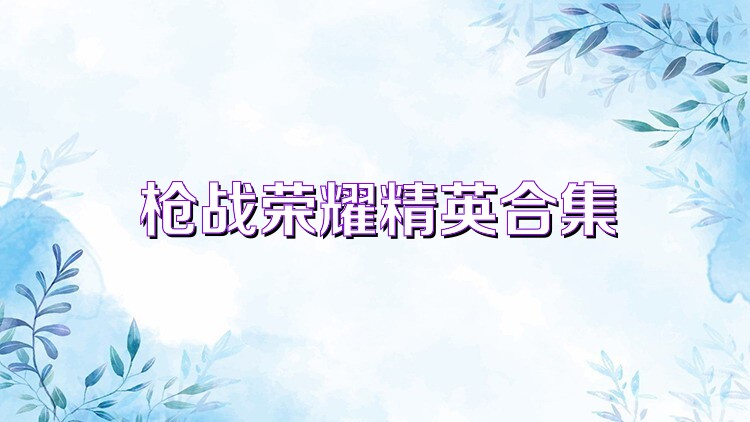 枪战荣耀精英合集