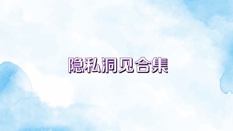 隐私洞见合集