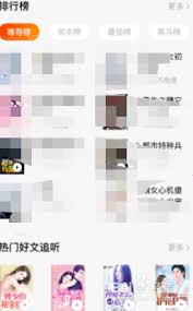 番茄畅听如何切换播放声音