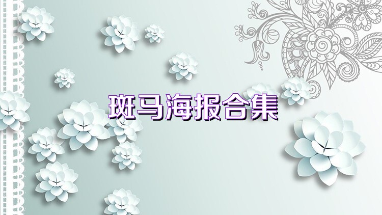 斑马海报合集