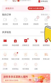 拼多多商家版如何举报评论