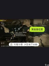怪物猎人荒野钓鱼支线任务怎么完成