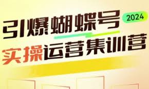 蝴蝶号是什么平台的账号