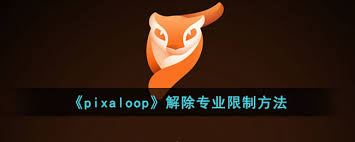 pixaloop如何解除专业限制