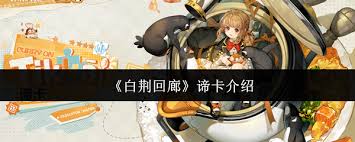 白荆回廊谛卡怎么样