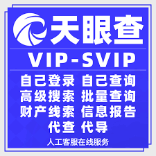 天眼如何查老赖