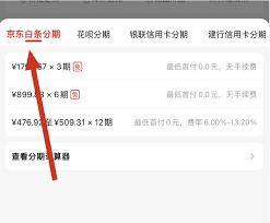 京东如何分期付款
