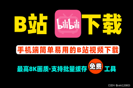 B站国产看大片APP如何实现高清视频永久观看
