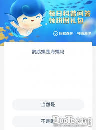 支付宝神奇海洋鹦鹉螺是不是海螺