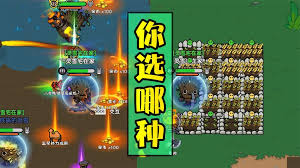 英勇之地龙语者如何进行装备推荐