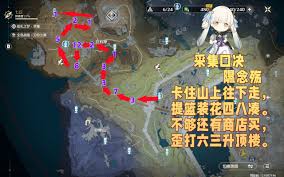 鸣潮扁竹花采集线路怎么分享
