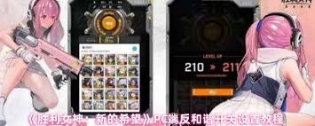 胜利女神PC端反和谐如何设置